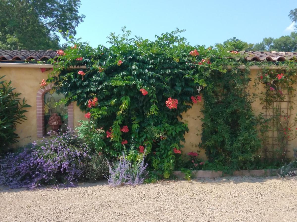 Albi A Proximite, Maison D'Hotes Les Oliviers Rosieres  Exterior photo